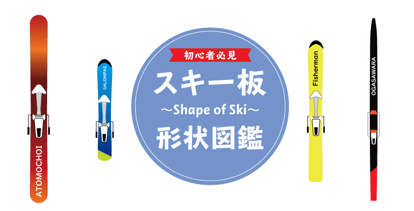 スキー板は大きく分けて4種類！スキーの形状図鑑【初心者向け】 THE SNOW PEAK LOVER